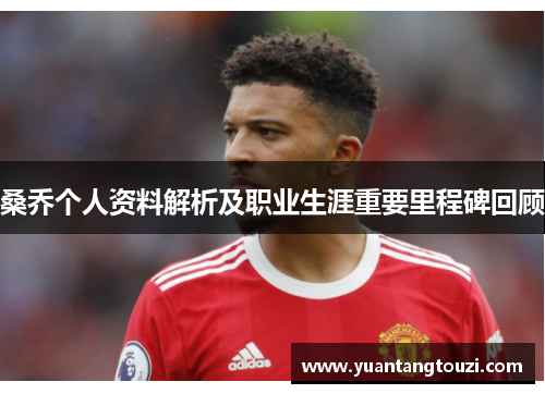 桑乔个人资料解析及职业生涯重要里程碑回顾