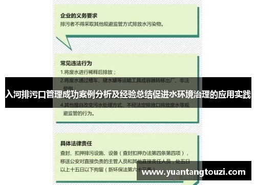 入河排污口管理成功案例分析及经验总结促进水环境治理的应用实践