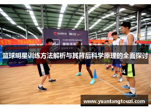 篮球明星训练方法解析与其背后科学原理的全面探讨