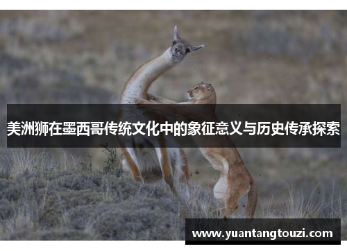 美洲狮在墨西哥传统文化中的象征意义与历史传承探索